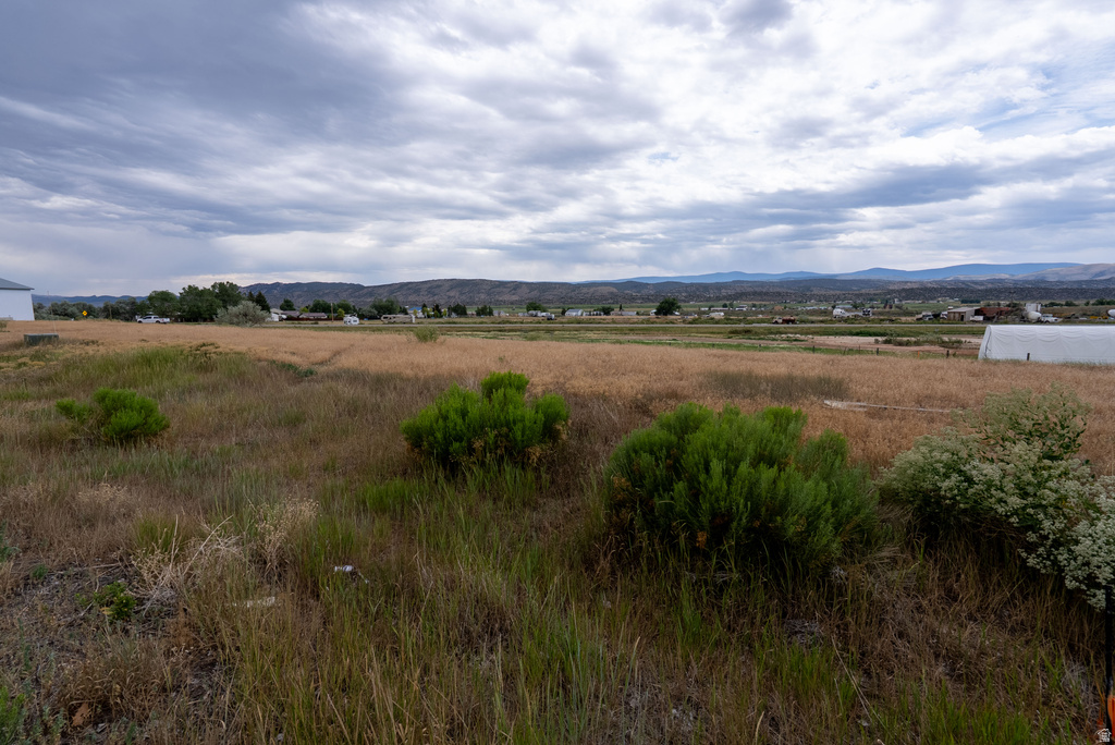 1430 E DICKISON LN Manila, UT 84046