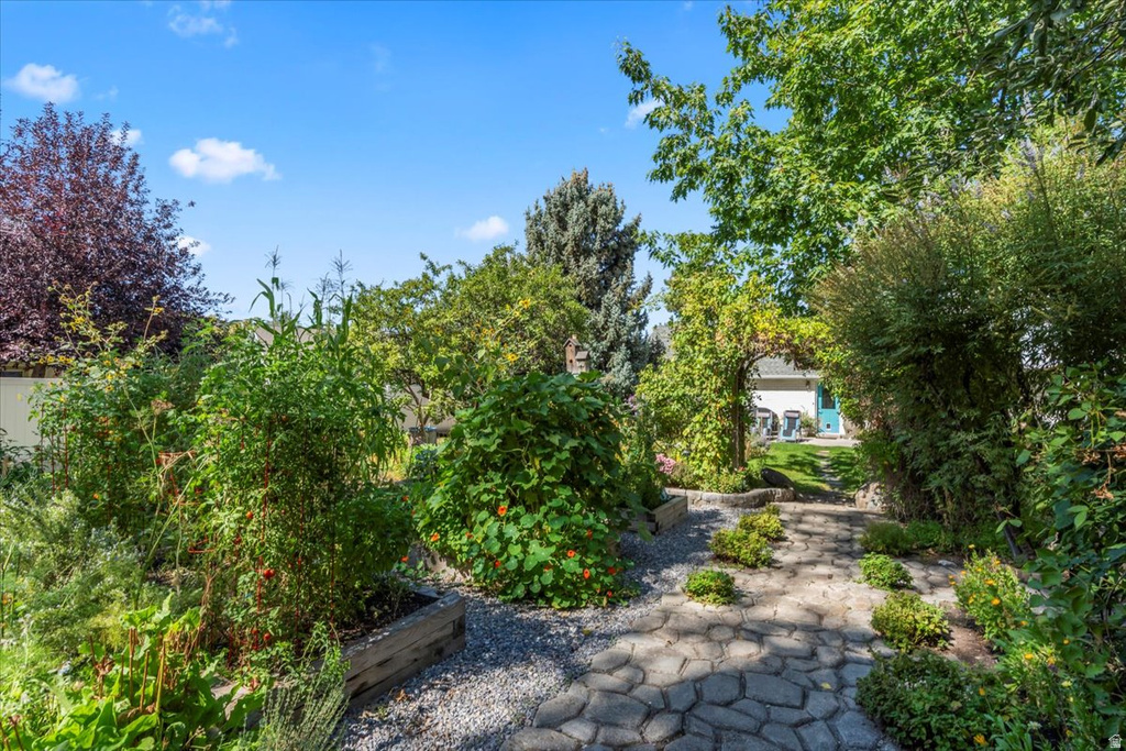 2050 E 6535 S Cottonwood Heights, UT 84121