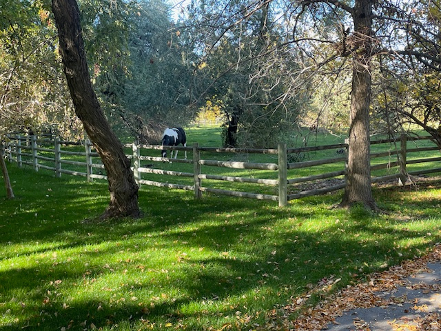 187 N WATERHOLE WAY Grantsville, UT 84029