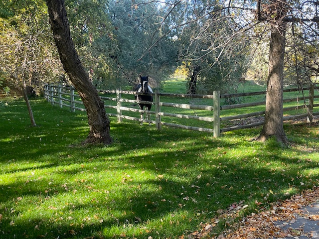 187 N WATERHOLE WAY Grantsville, UT 84029