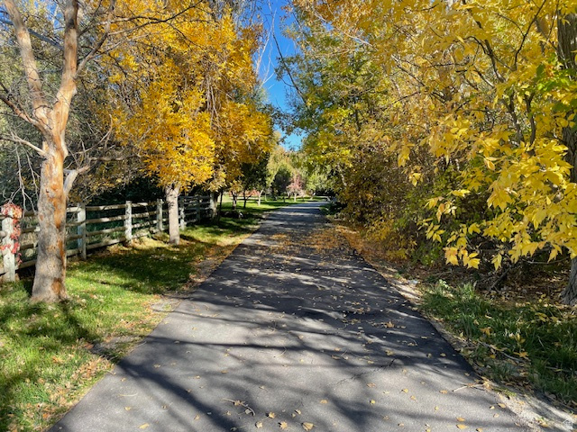 185 N WATERHOLE WAY Grantsville, UT 84029