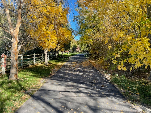 185 N WATERHOLE WAY Grantsville, UT 84029