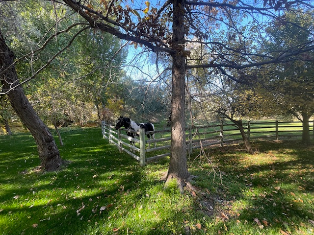 185 N WATERHOLE WAY Grantsville, UT 84029