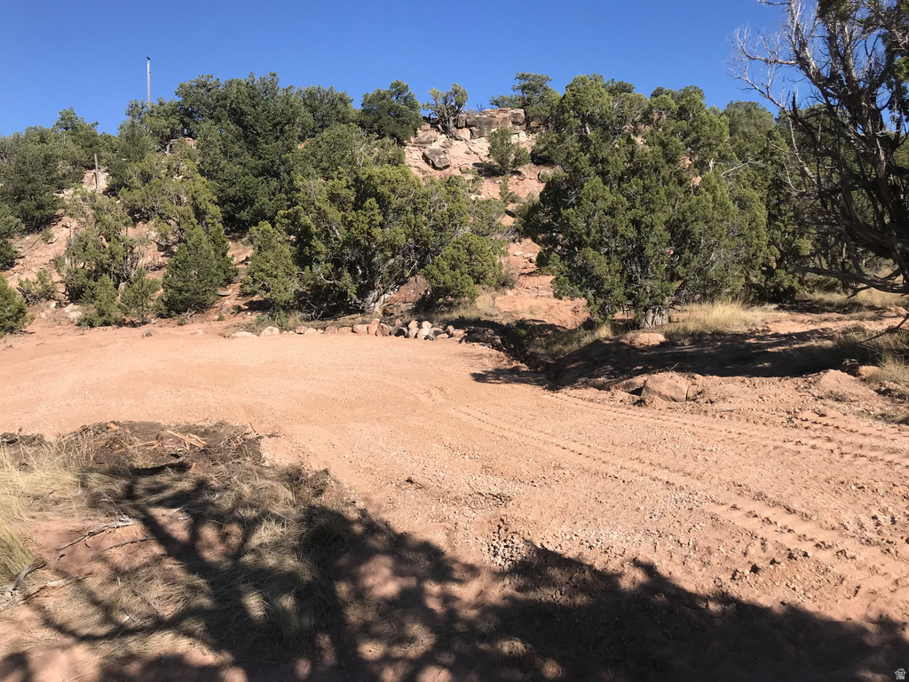 View of undeveloped land