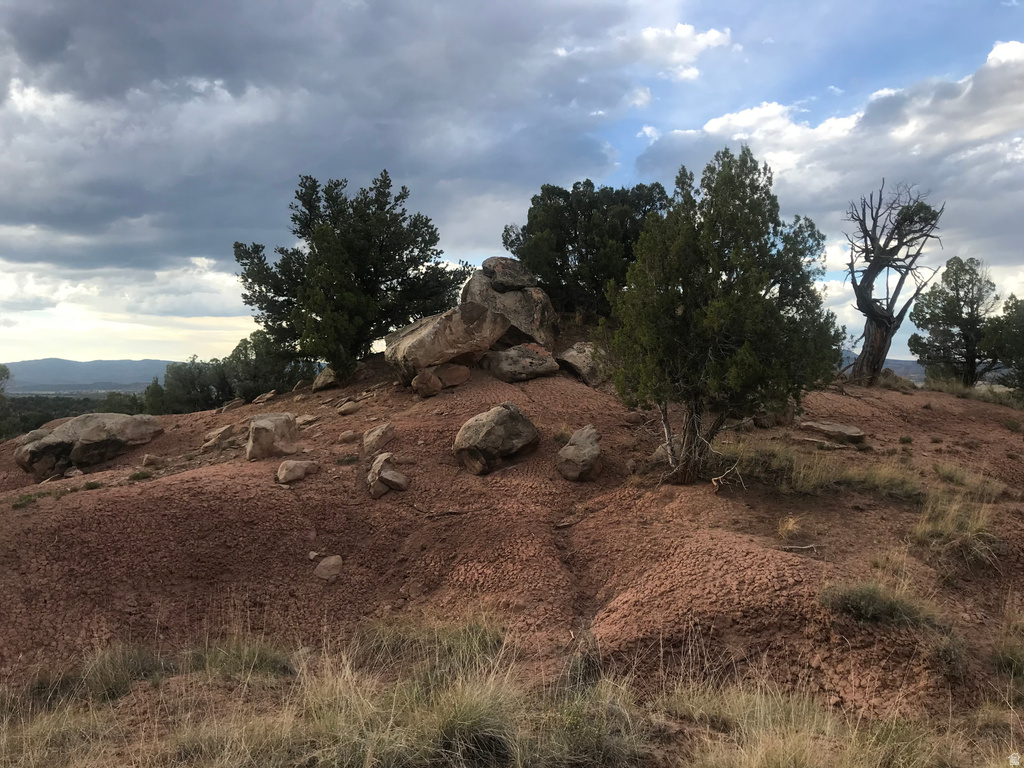 View of local wilderness