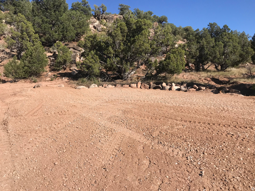 View of undeveloped land
