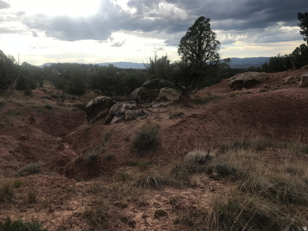 View of local wilderness featuring mountains