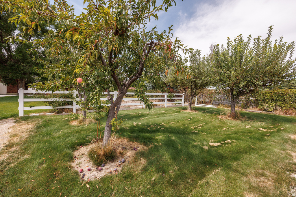 9780 N 6000 W Highland, UT 84003