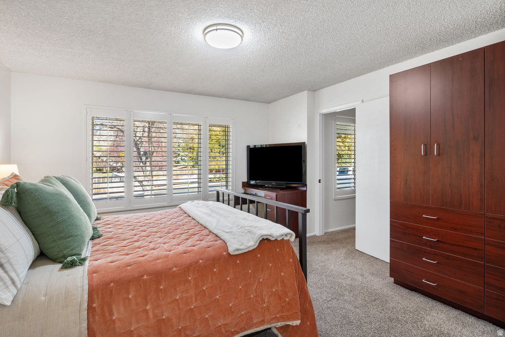 249 W 300 N Springville, UT 84663