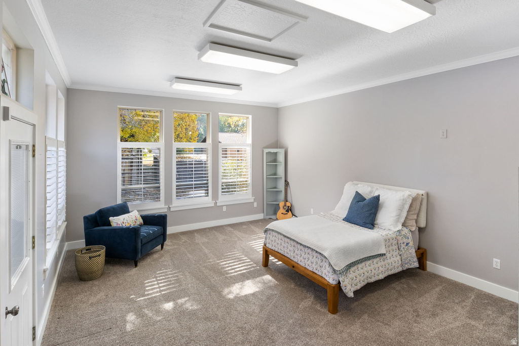 249 W 300 N Springville, UT 84663