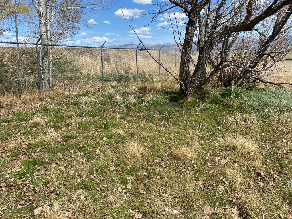 6890 E 17250 N Mt Pleasant, UT 84647
