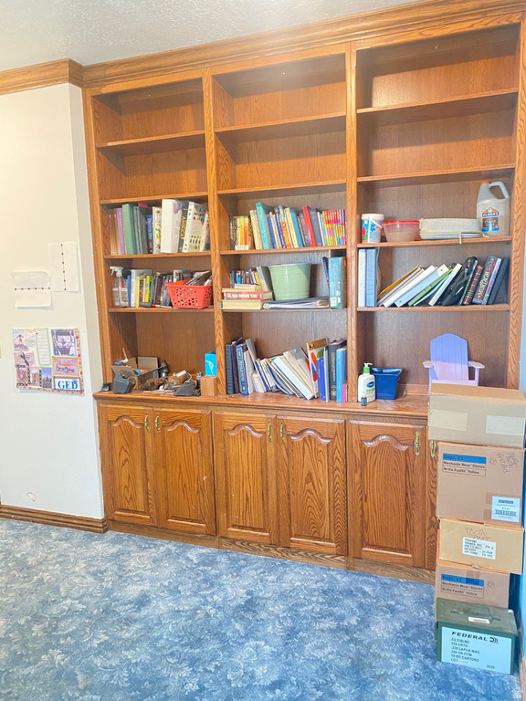 6890 E 17250 N Mt Pleasant, UT 84647