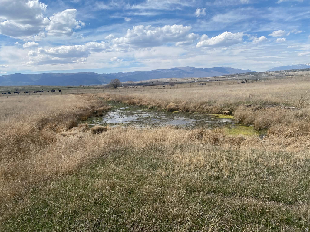 6890 E 17250 N Mt Pleasant, UT 84647