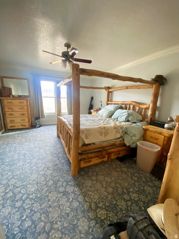 6890 E 17250 N Mt Pleasant, UT 84647