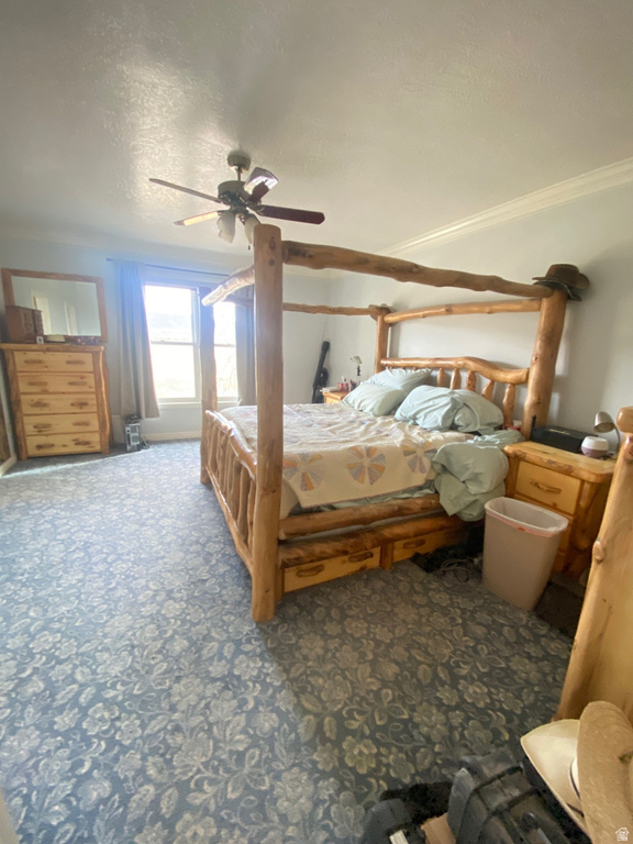 6890 E 17250 N Mt Pleasant, UT 84647