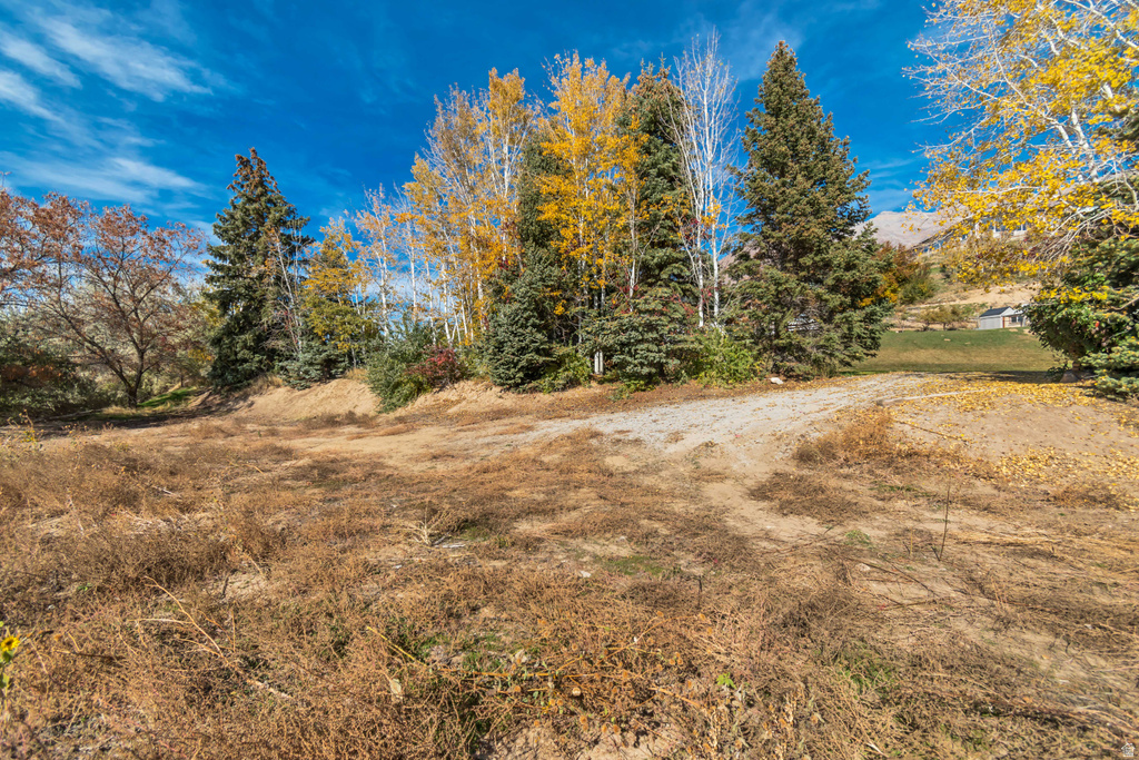 1643  MOUNTAIN OAKS DR Orem, UT 84097