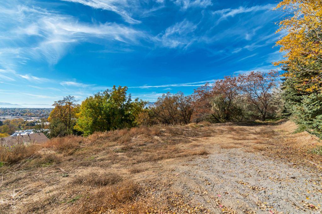 1643  MOUNTAIN OAKS DR Orem, UT 84097