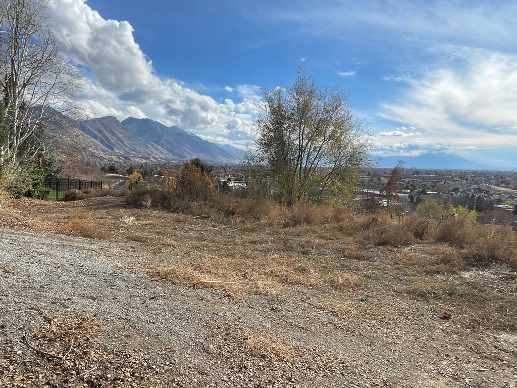 1643  MOUNTAIN OAKS DR Orem, UT 84097