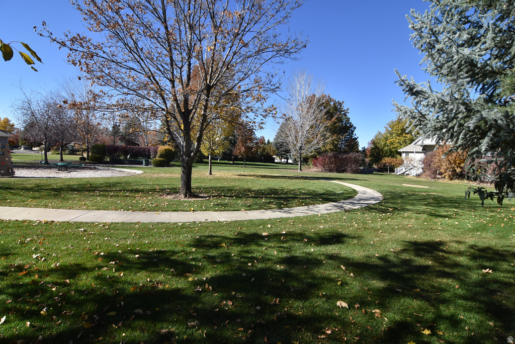 1243 N 1270 E American Fork, UT 84003