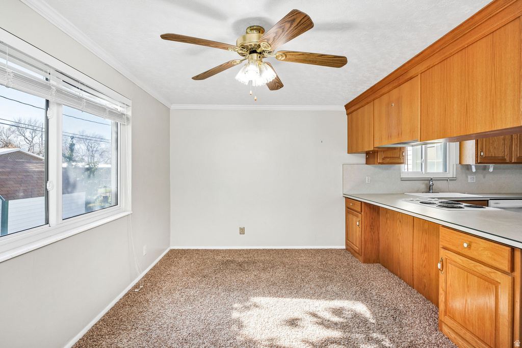 576 DOUGLAS DR Logan, UT 84341