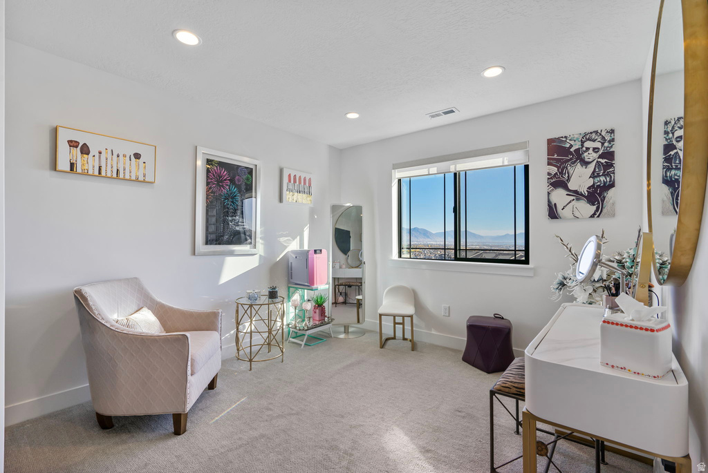 1320 W SUMMER VIEW DR Lehi, UT 84043