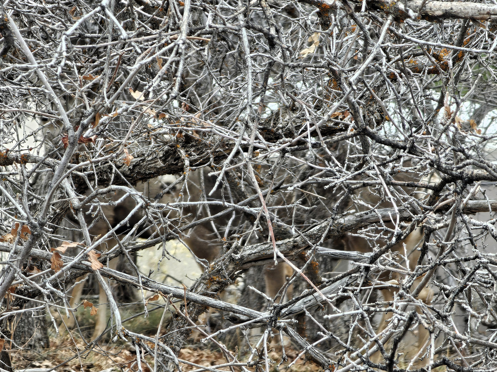 24  SPRING CREEK DR Fairview, UT 84629