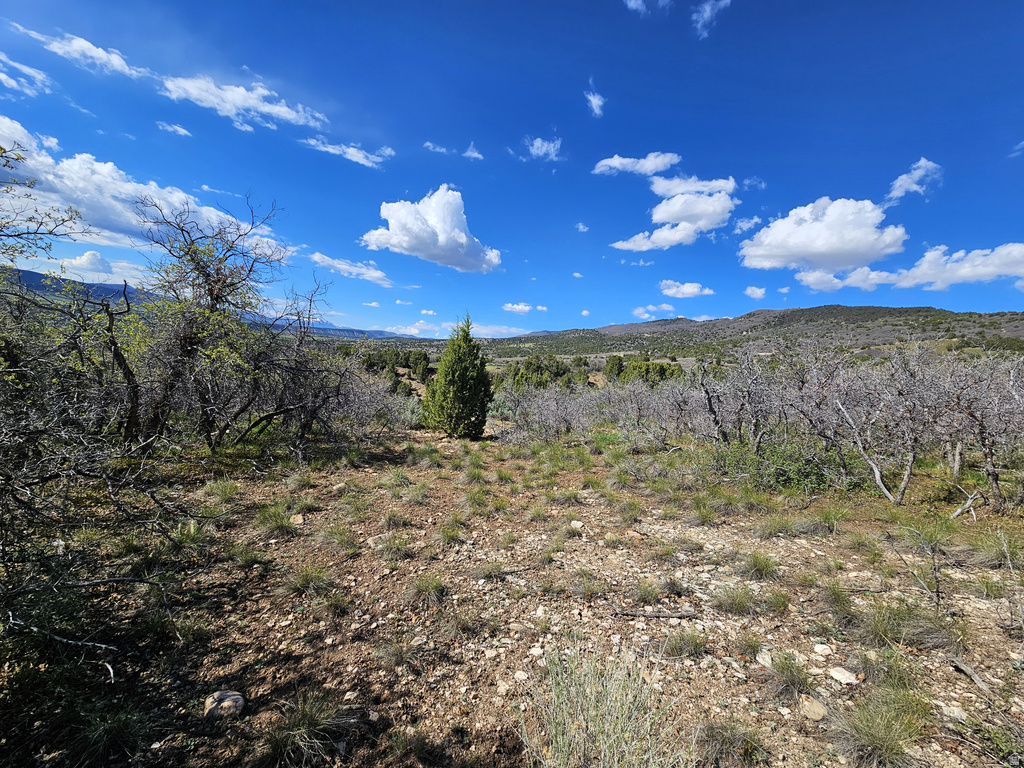 24  SPRING CREEK DR Fairview, UT 84629