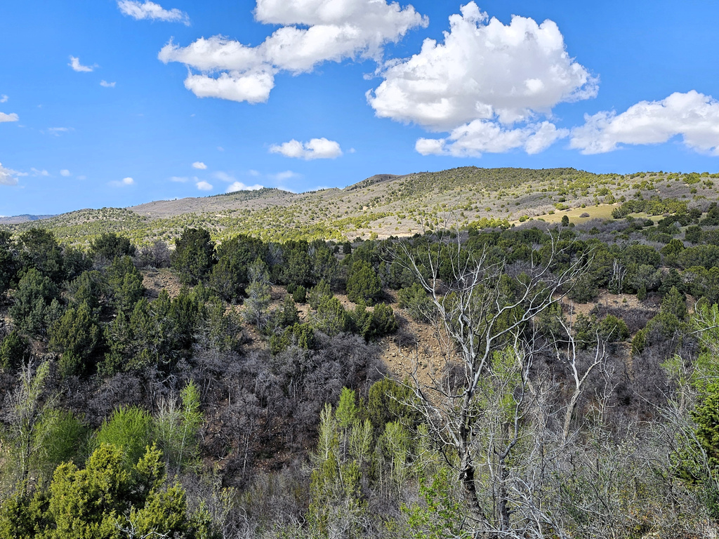 24  SPRING CREEK DR Fairview, UT 84629