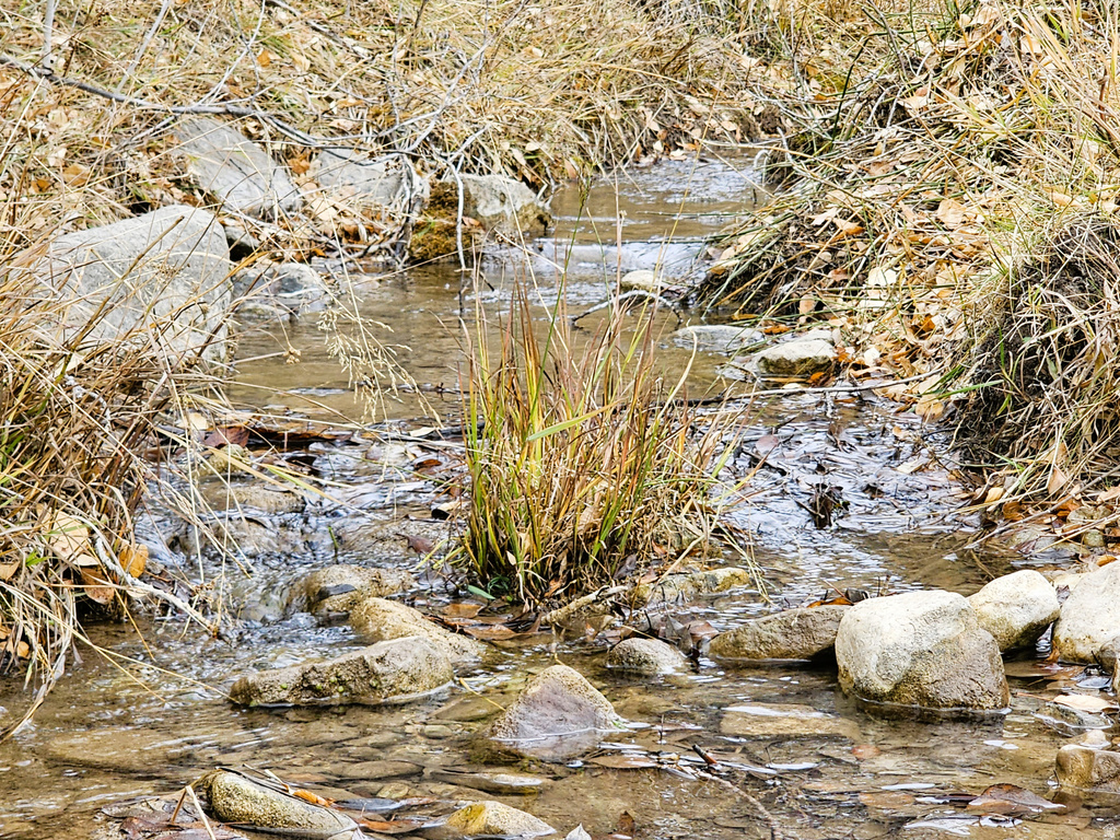 24  SPRING CREEK DR Fairview, UT 84629