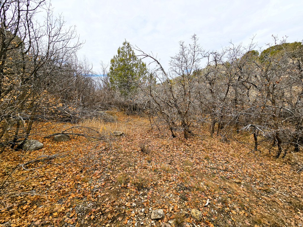 24  SPRING CREEK DR Fairview, UT 84629