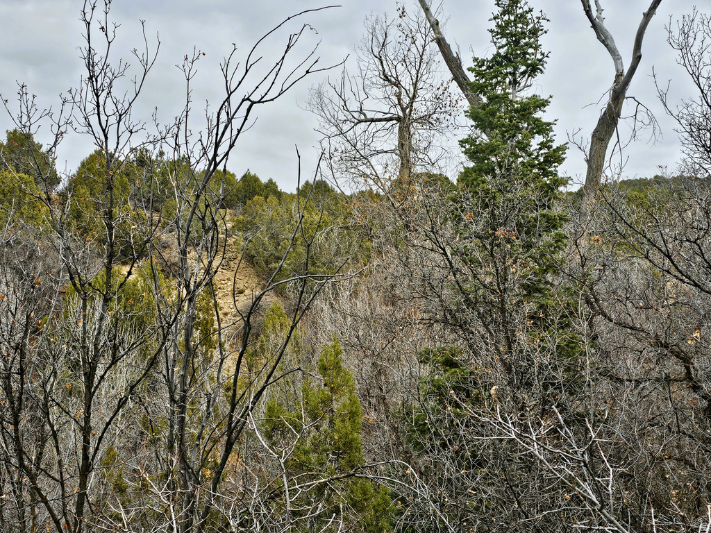 24  SPRING CREEK DR Fairview, UT 84629