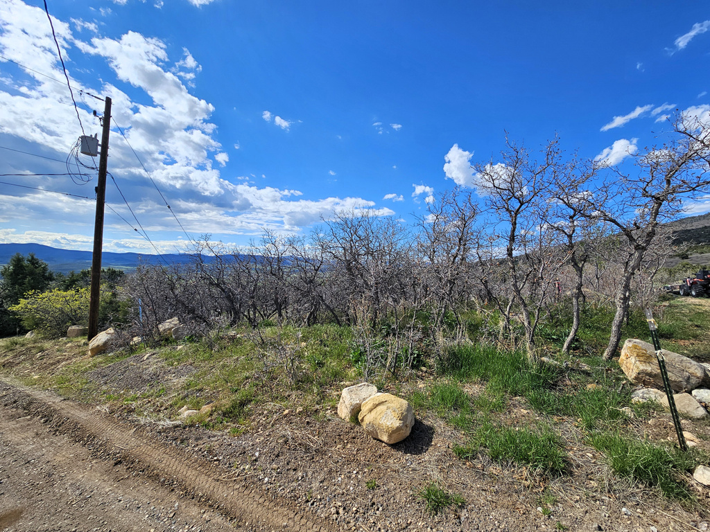 24  SPRING CREEK DR Fairview, UT 84629