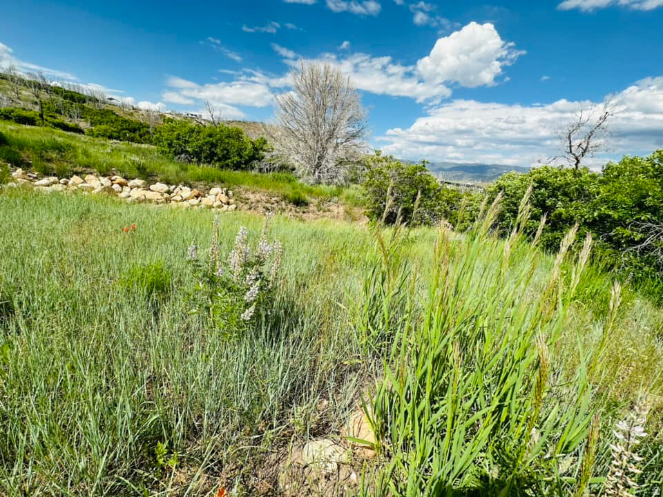 137 E CANYON HOLLOW RD Indianola, UT 84629
