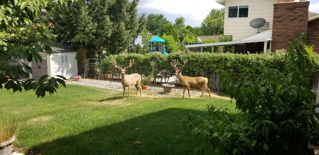 386 N 1100 E Orem, UT 84097