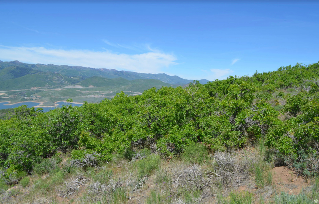 2065 E PERCHES DR Heber City, UT 84036