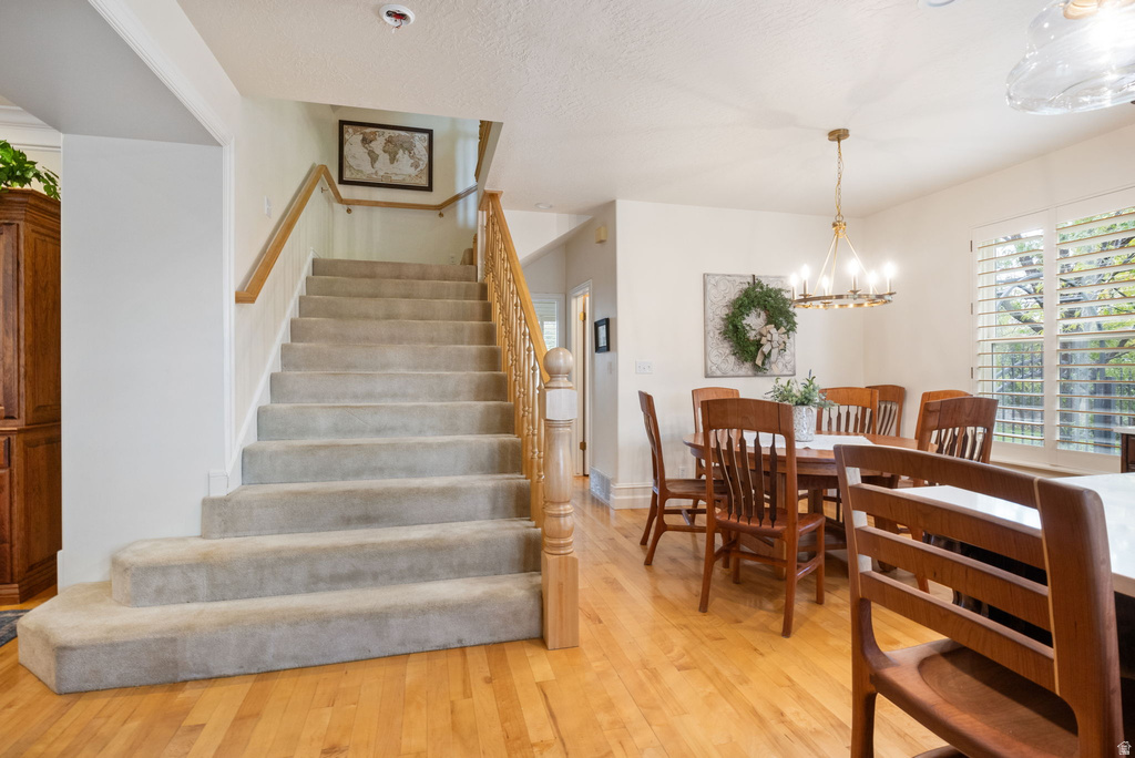 48 N 100 E Alpine, UT 84004