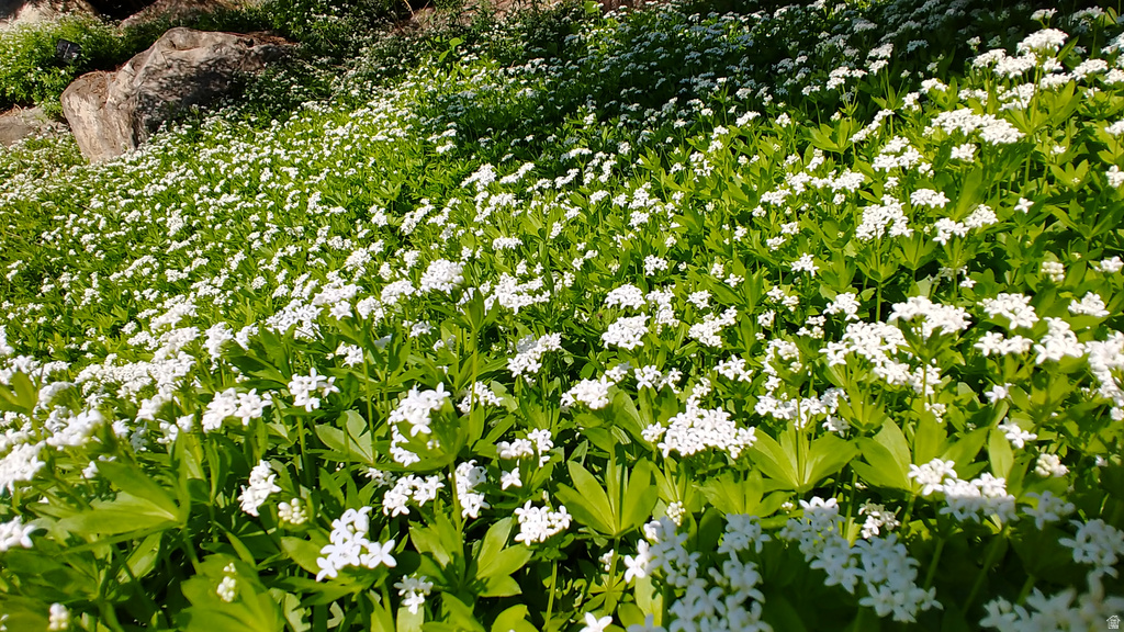 2894 N VIEWCREST CIR North Logan, UT 84341