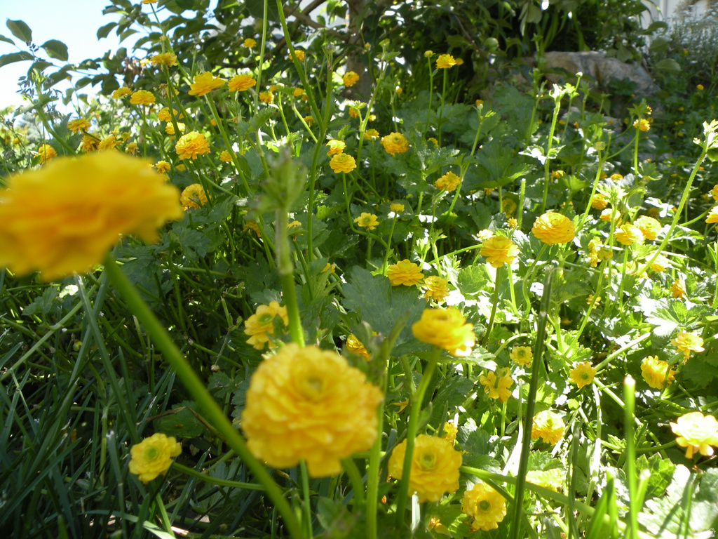 2894 N VIEWCREST CIR North Logan, UT 84341