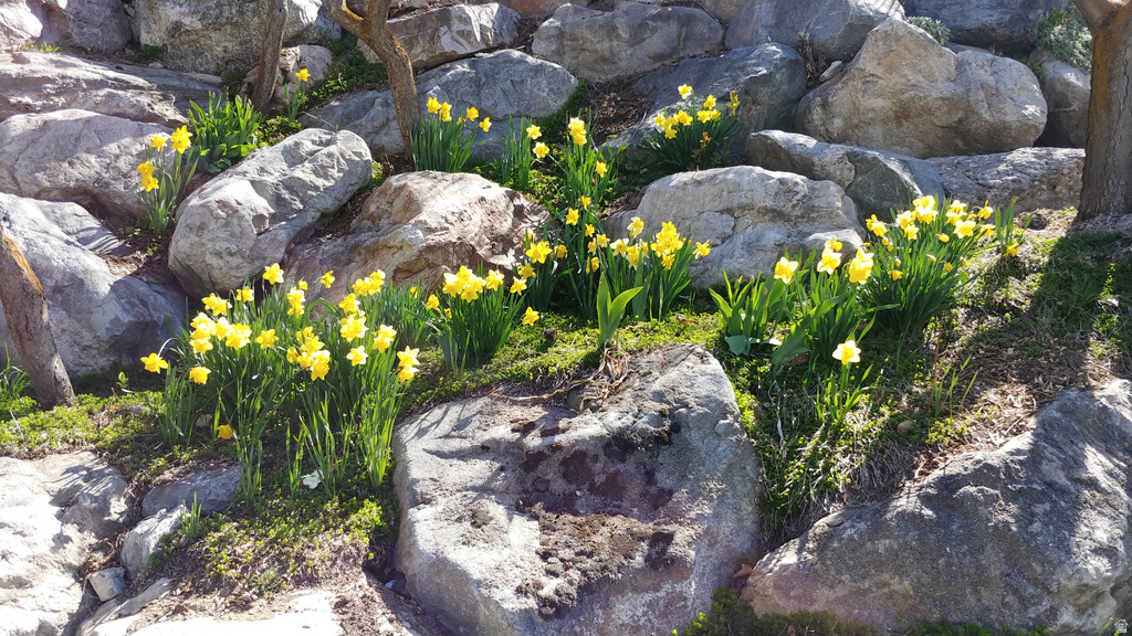 2894 N VIEWCREST CIR North Logan, UT 84341