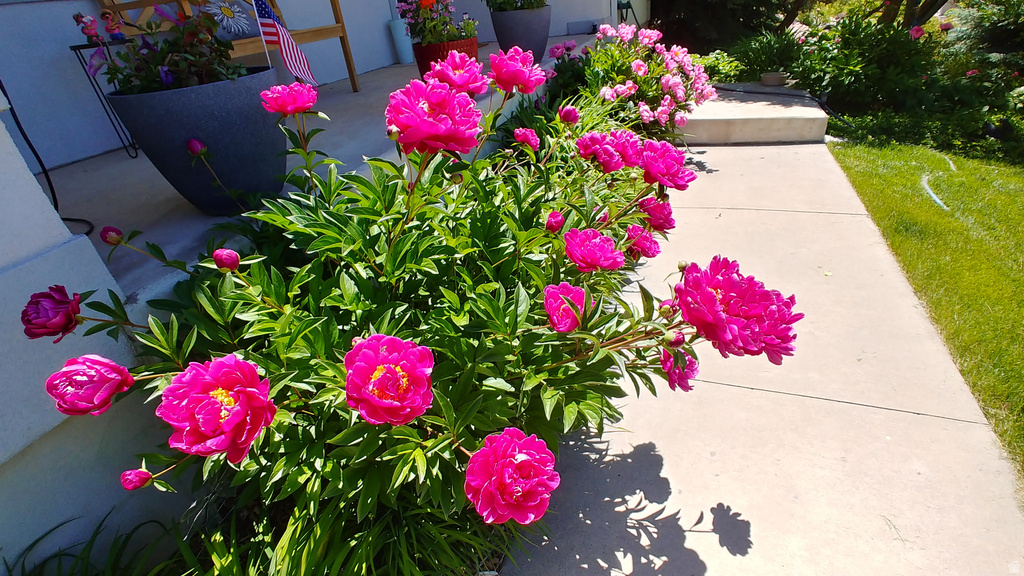 2894 N VIEWCREST CIR North Logan, UT 84341