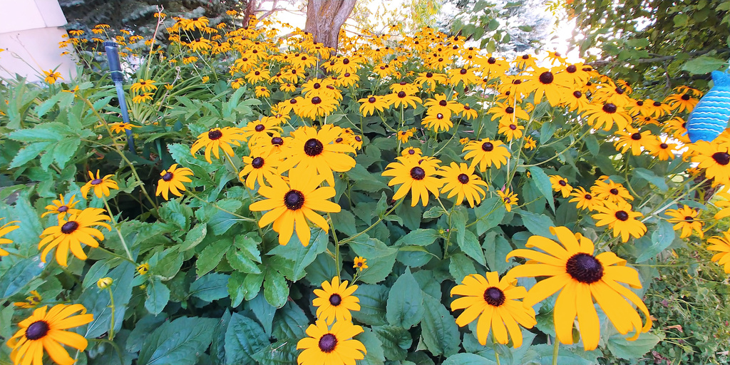 2894 N VIEWCREST CIR North Logan, UT 84341