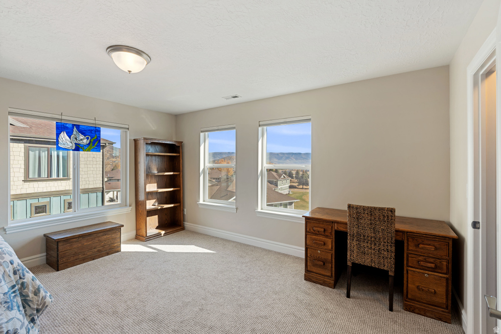 836 N PINEHURST DR Midway, UT 84049