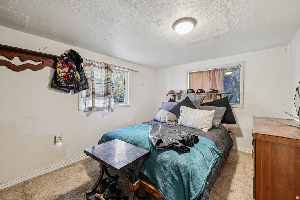 255 E 100 N Willard, UT 84340