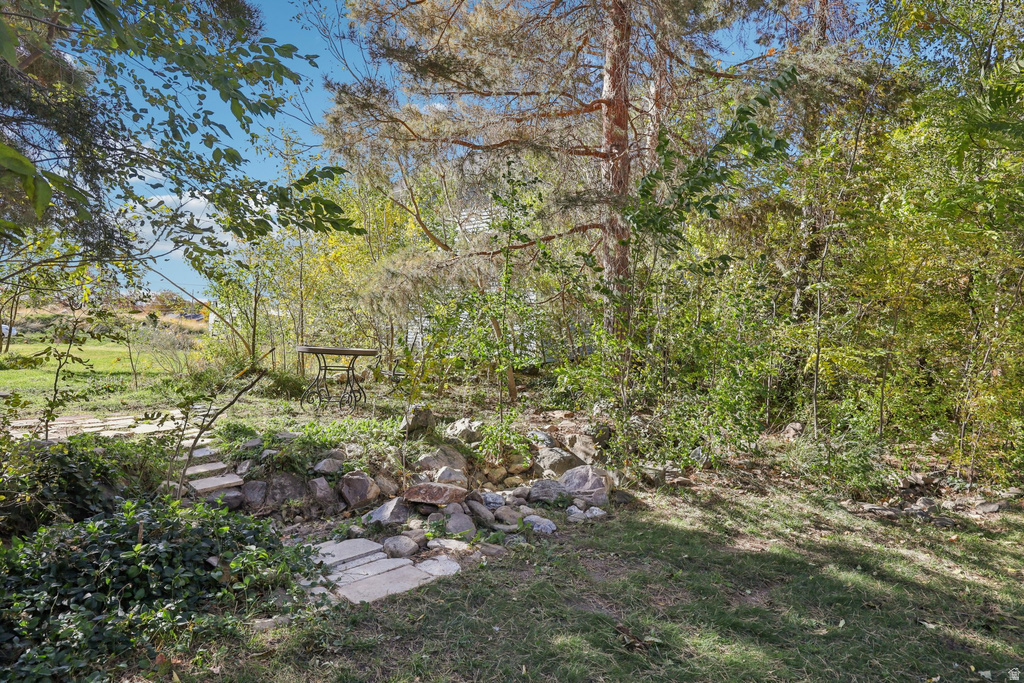 255 E 100 N Willard, UT 84340