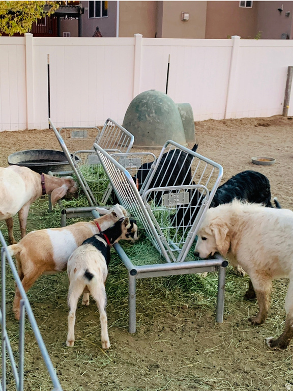 11415 S HAGAN RD Sandy, UT 84092