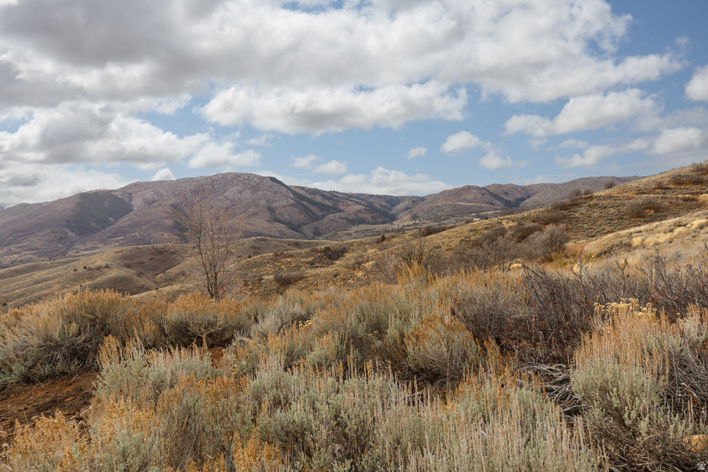 12898 E HIGH PINE CIR Huntsville, UT 84317