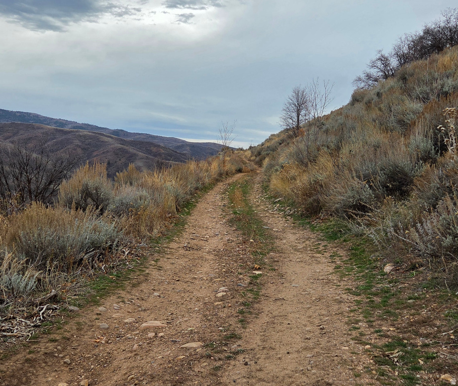 12898 E HIGH PINE CIR Huntsville, UT 84317