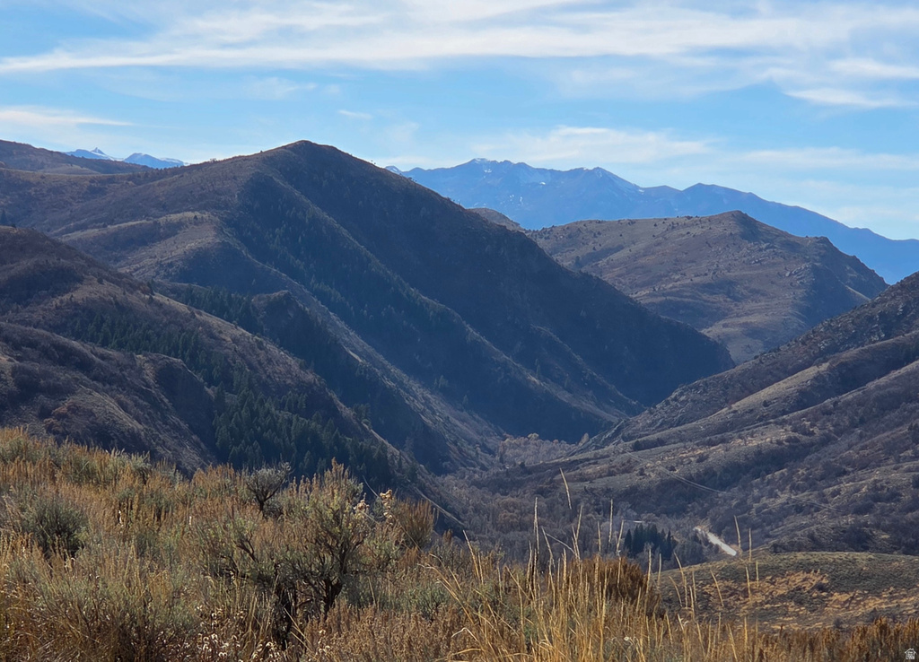 12898 E HIGH PINE CIR Huntsville, UT 84317