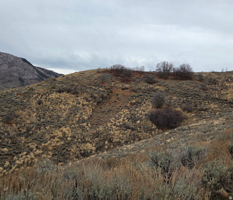 12898 E HIGH PINE CIR Huntsville, UT 84317