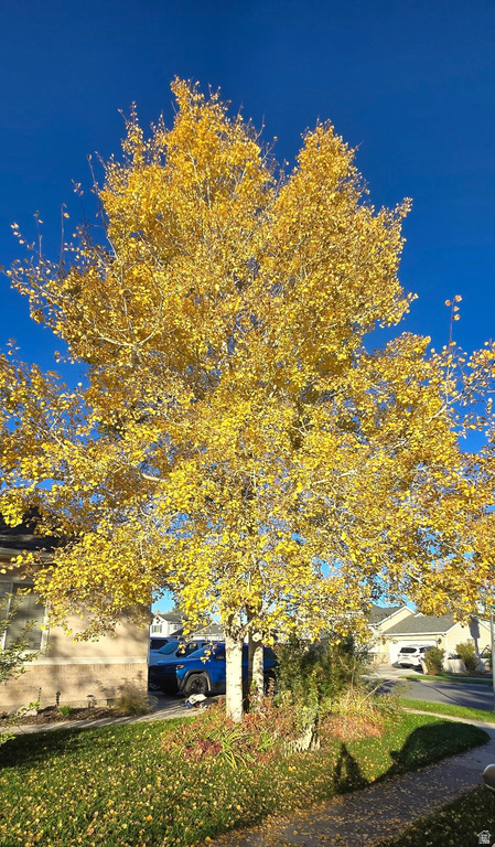 8686 S COVEWOOD PL West Jordan, UT 84088